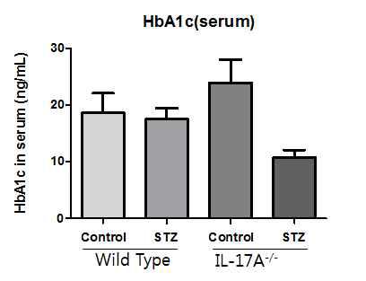 Effect of IL-17 knockout on serum HbA1c. C57BL/6N and IL-17 knockout mice were injected with STZ (50 mg/kg) for 5 consecutive days. After 3 month, the C57BL/6N and IL-17 knockout mice were sacrificed. Diabetic IL-17-/- mice are relatively reduced serum HbA1c compared to WT diabetic mice