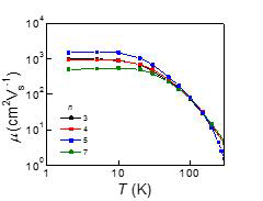 합성된 STO/LAO/STO 삼중접합계면의 2-차원 전자가스 이동도의 온도 의존성