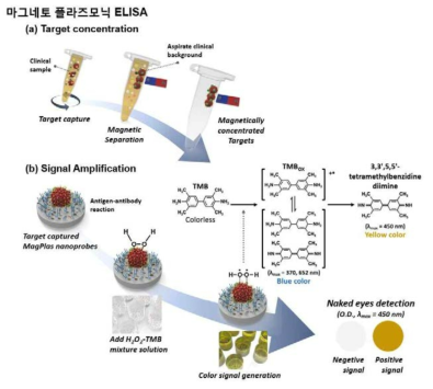 마그네토플라즈모닉 ELISA를 이용하여 초미량 색도계 분석 개념도