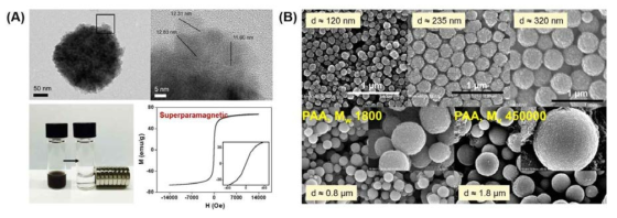 (A)자기분리용 자성 나노/마이크로입자 TEM 이미지 및 자기특성. (B)100~2000 nm 범위의 다양한 직경을 가지는 자성입자의 SEM 이미지
