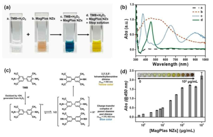 마그네토플라즈모닉 나노프로브의 유사 과산화 효소활동 (Peroxidase-like activity)