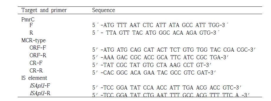 Primer sequence used in this study