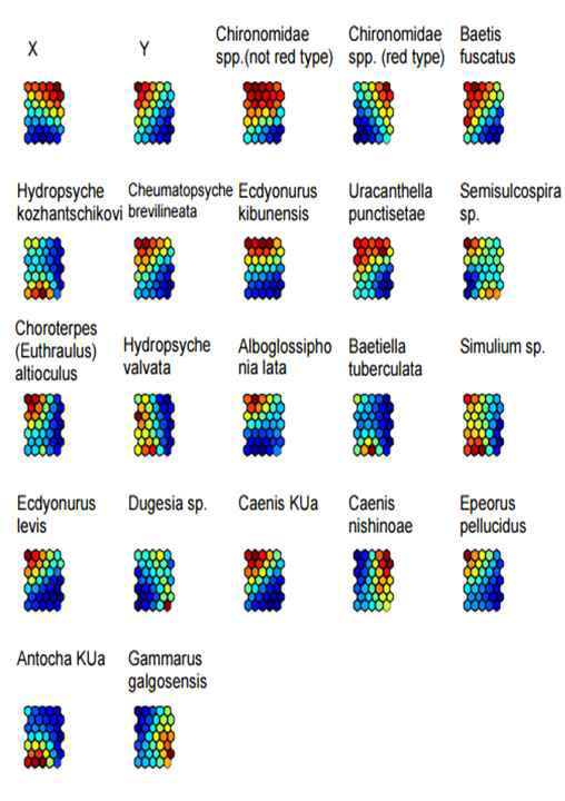 Geo-SOM 적용을 통한 권역별저서성대형무척추동물 군집 상위 11종의 공간적 출현 유형