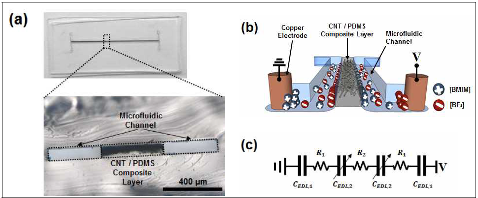 (a) CNT/PDMS 혼합체가 내장된 미세유체 채널 이미지와 optical microscope로 관찰한 그 단면 모습. (b) 미체유체 기반 센서의 내부에 형성된 전기이중층 구조의 도식적 이미지. (c) 미체유체 기반의 전기용량 변화식 센서의 회로도