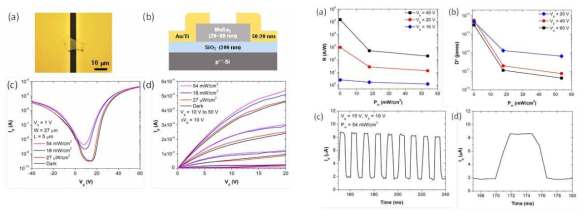 MoSe2 광트랜지스터의 소자 구조, 전류-전압 특성, 광반응도, 반응시간