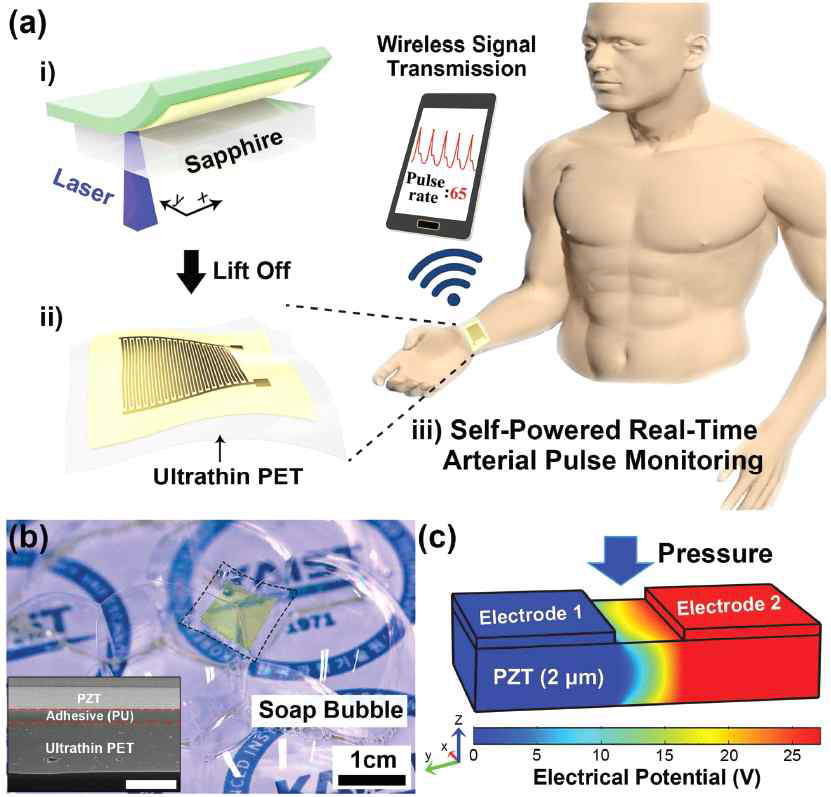 그림(a) 레이저 리프트 오프(LLO) 공정을 이용한 극초박막의 압전 혈압 센서 제작의 모식도. (b) 비눗방울에 전사가능한 극초박막의 압전소자 (c)압력에 따른 정류형성 시뮬레이션