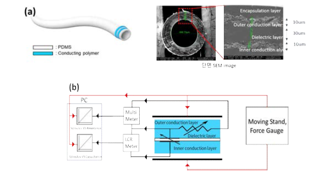 섬유 형태의 멀티 센서의 모식도와 단면 SEM (a) 및 측정 회로도 (b)