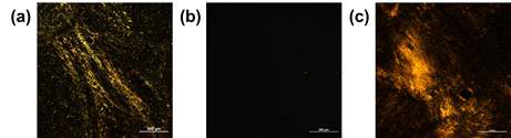 (a) 제조된 그래핀산화물의 편광현미경 사진. (b) 나노셀룰로오스의 편광 현미경 사진 (c) 그래핀산화물과 나노셀룰로오스를 복합화한 dope의 편광현미경 사진