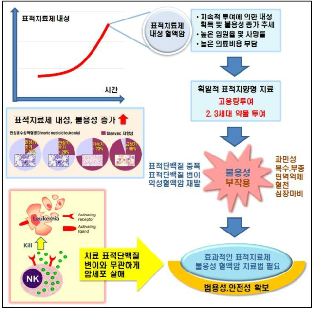 자연살해세포(NK cell)에 기반한 표적치료제 불응성 백혈병 치료법 연구 모식도