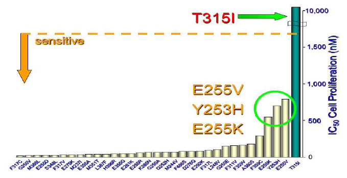 BCR-ABL T315I 변이의 표적치료제 불응성