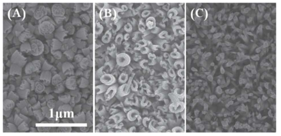 서로 다른 증착 온도 (A: 100 ℃, B: 140 ℃, C: 200 ℃)에서 증착된 산화텅스텐 박막의 SEM 이미지