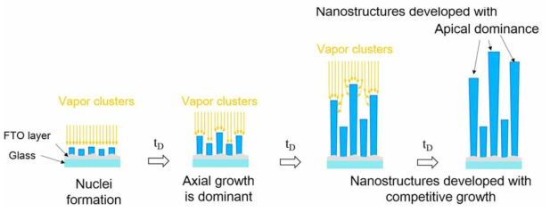 증착시간의 증가에 따른 산화텅스텐 나노와이어의 성장 매커니즘을 나타낸 개략도