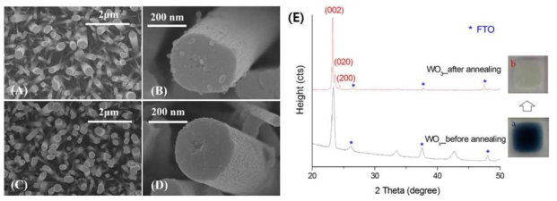 (A,B) 증착시킨 WO2.72와 (C,D) clacination을 통해 전환시킨 WO3 박막의 평면(A,C)과 단면 (B,D) SEM 이미지와 (E) 두 박막의 XRD 측정결과 (a,b: 실제 박막의 사진)