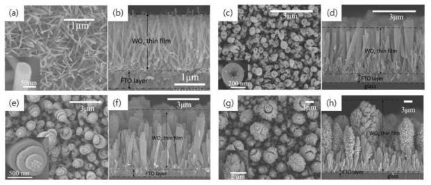 서로 다른 전구체 공급속도에서 제조된 산화텅스텐 박막의 평면 (a, c, e, g) 및 단면 (b, f, d, h) SEM 이미지 (a,b) 2 μm/s, (b,c) 5 μm/s, (d,e) 10 μm/s, (g,h) 25 μm/s