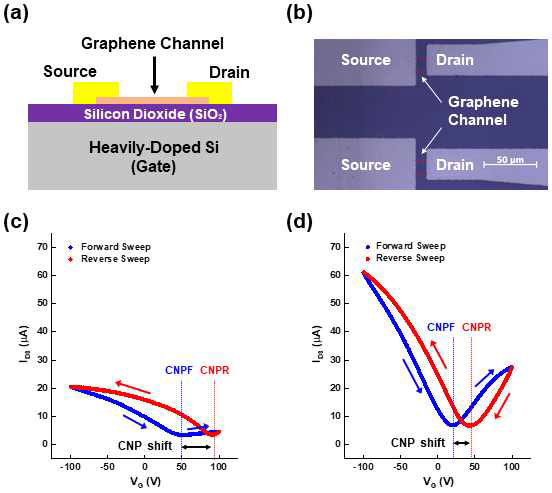 Semi-Dry 및 Wet Transfer 방법에 의해 SiO2/Si 기판 표면에 전사된 그래핀 기반 FET의 구조를 나타내는 모식도와 IDS-VG 곡선
