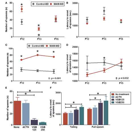 Enhanced NMDA-induced spasm susceptibility and effects of anti-epileptic drugs in prenatally MAM-exposed infant rats treated with single (SD) or multiple (MD) N-methyl-d-aspartate (NMDA) doses