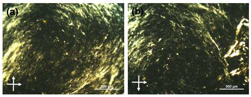 네마틱 Schlieren texture를 보이는 그래핀산화물 액정 분산액의 편광현미경 이미지