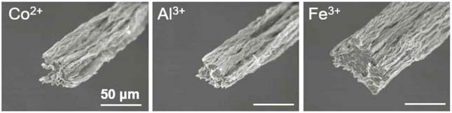 다양한 금속 양이온 응고제를 사용하여 제조된 그래핀산화물 섬유의 전자현미경 이미지