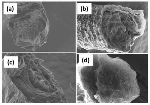 응고이온을 (a) 칼슘, (b) 구리, (c) 니켈, (d) 코발트를 이용하여 습식 방사한 그래핀산화물 액정섬유의 전자 현미경 이미지