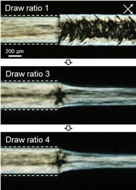 연신율에 따라 변화하는 그래핀산화물 섬유의 내부 구조를 나타내는 편광현미경 이미지