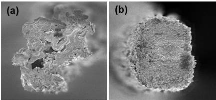 (a) 순수한 그래핀섬유의 단면 전자현미경 이미지, (b) 최적화된 조건으로 코팅된 그래핀/폴리도파민 복합섬유의 단면 전자현미경 이미지