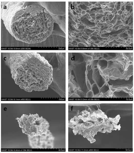 (a), (b) 히드라진으로 환원처리 (c), (d) 700°C 열처리로 환원처리 (e), (f) 아이오딘화수소로 환원처리 된 그래핀 섬유의 전자현미경 단면 이미지