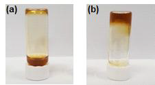 나노다이아몬드의 표면 전하에 따른 그래핀 산화물 복합용액의 분산 실험 (a) 음전하 (b) 양전하