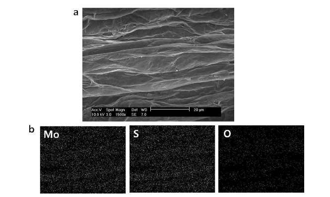 (a) MoSx가 도포된 그래핀섬유 표면의 SEM 이미지 및 (b) 위부분의 EDS 원소 매핑 결과