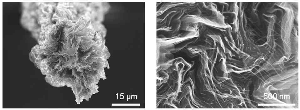 탄소나노튜브가 혼합된 그래핀섬유의 단면 SEM 이미지