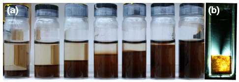 (a) 그래핀산화물의 농도별 분산액의 상분리 현상, (b) 편광판 사이에서의 상분리된 그래핀산화물 분산액의 액정성