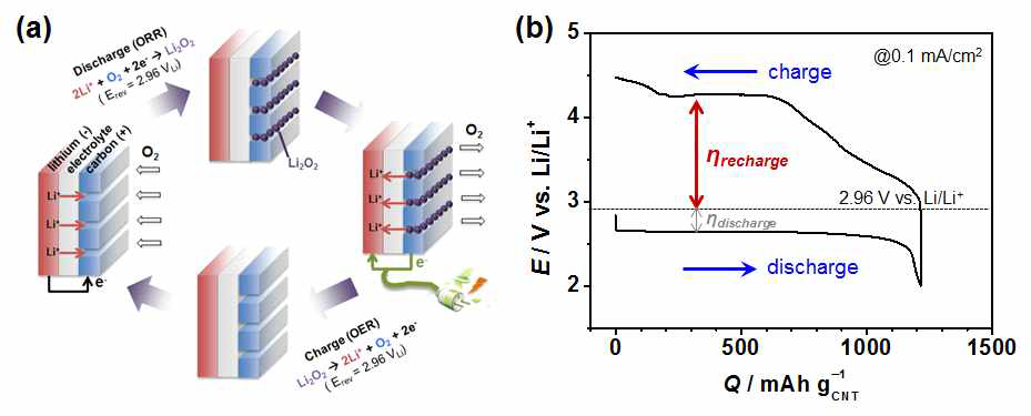 리튬-산소 전지의 (a) 충/방전 프로세스 및 (b) 정전류 하에서 충/방전 시 얻어지는 그래프. ORR과 OER은 oxygen reduction reaction과 oxygen evolution reaction을 나타내며 η은 과전위를 표시