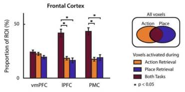 일화기억의 행동요소와 배경요소 인출 시 전두엽 영역에서 높은 활성을 보이는 voxel 분포
