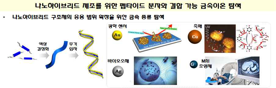 합성된 펩타이드 분자에 선택적 결합 가능한 금속 탐색