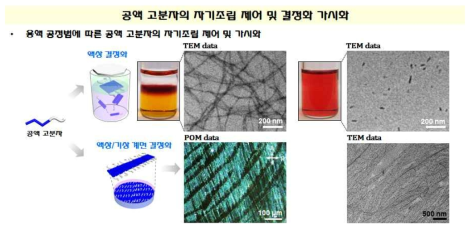 결정화 조건에 따른 자기조립 제어 및 가시화