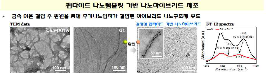 펩타이드 분자의 액상 결정화 후 금속 첨가를 통한 나노하이브리드 제조