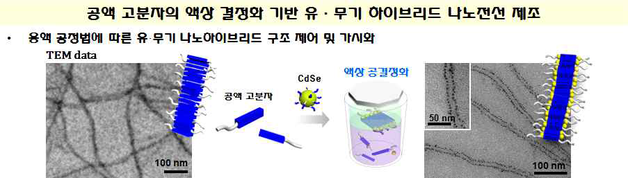 액상 결정화 과정으로 유도되는 유‧무기 하이브리드 나노선