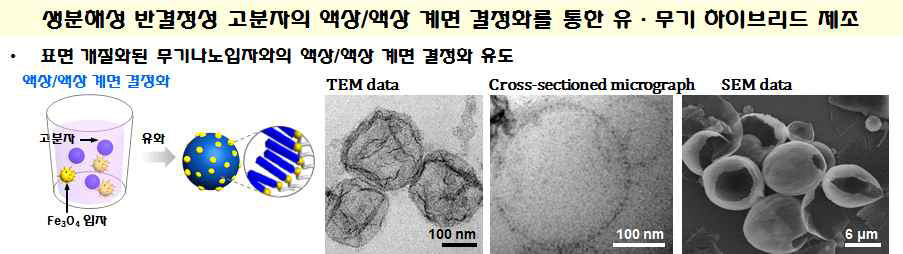 생분해성 반결정성 고분자의 액상/액상 결정화 과정을 통한 나노하이브리드 소포체 구조 형성 및 전자현미경 기반 가시화 기술 확립