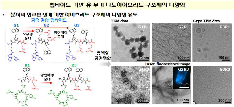분자 개질화와 용액 공결정화를 통해 나노하이브리드 구조 다양화 유도