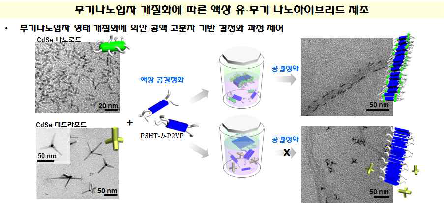 무기나노입자 형태 개질화에 따른 결정화