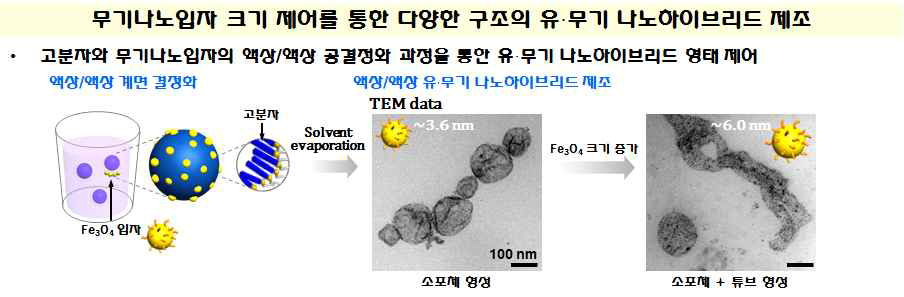 무기나노입자 크기 제어에 따른 나노하이브리드 구조체 다양화 기술 확보