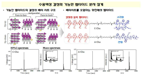 베타시트 기반 결정성 펩타이드 설계 및 합성