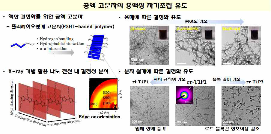 결정성 공액 고분자의 자기조립 나노구조체 형성