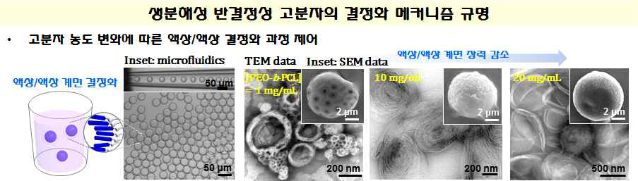 고분자 농도 변화를 통한 결정화 거동 분석 및 가시화