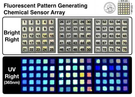 인돌리진 형광 중심 골격체의 고체상 형광 형상을 활용한 형광 센서 어레이 사진