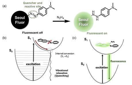 신규 Hydrazine 형광 turn-on 프로브 개발을 위한 전략 모식도