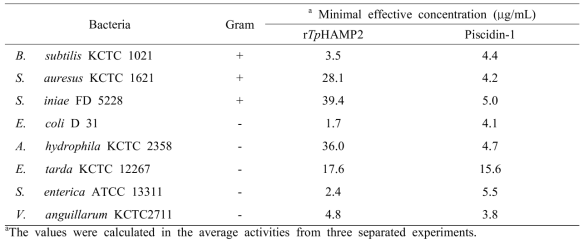rTpHAMP2 and piscidin-1의 항균활성