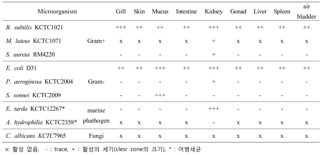 병원균 Vibrio anguillum에 감염된 졸복의 각 조직별 추출물들의 항균효과