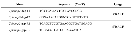 3’ & 5’-RACE PCR을 위한 primer set