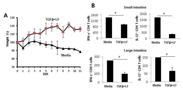 T세포 입양 장염모델에서 LF/TGFβ에 의해 유도된 iTreg의 조절기능 검증