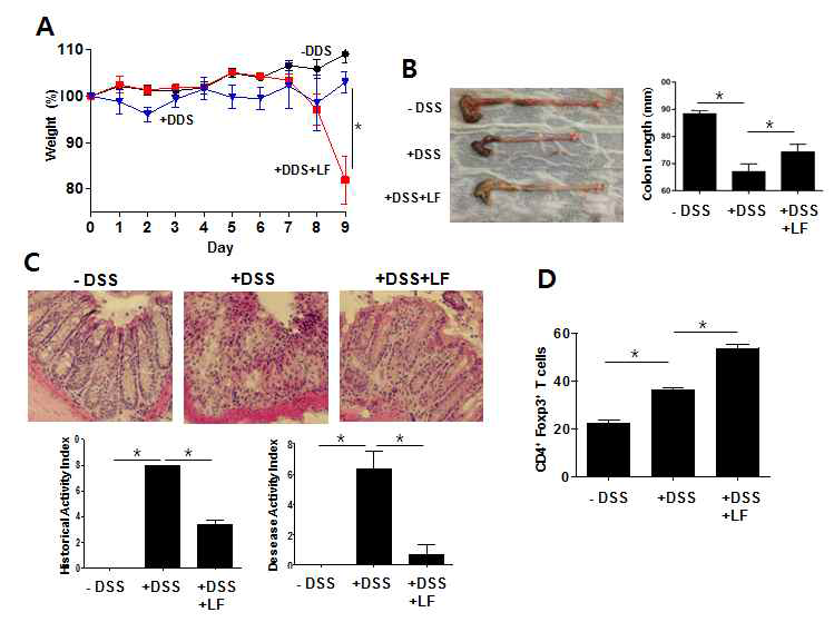 DSS 유도 장염모델에서 LF 경구투여에 의해 유도된 iTreg의 조절기능 검증
